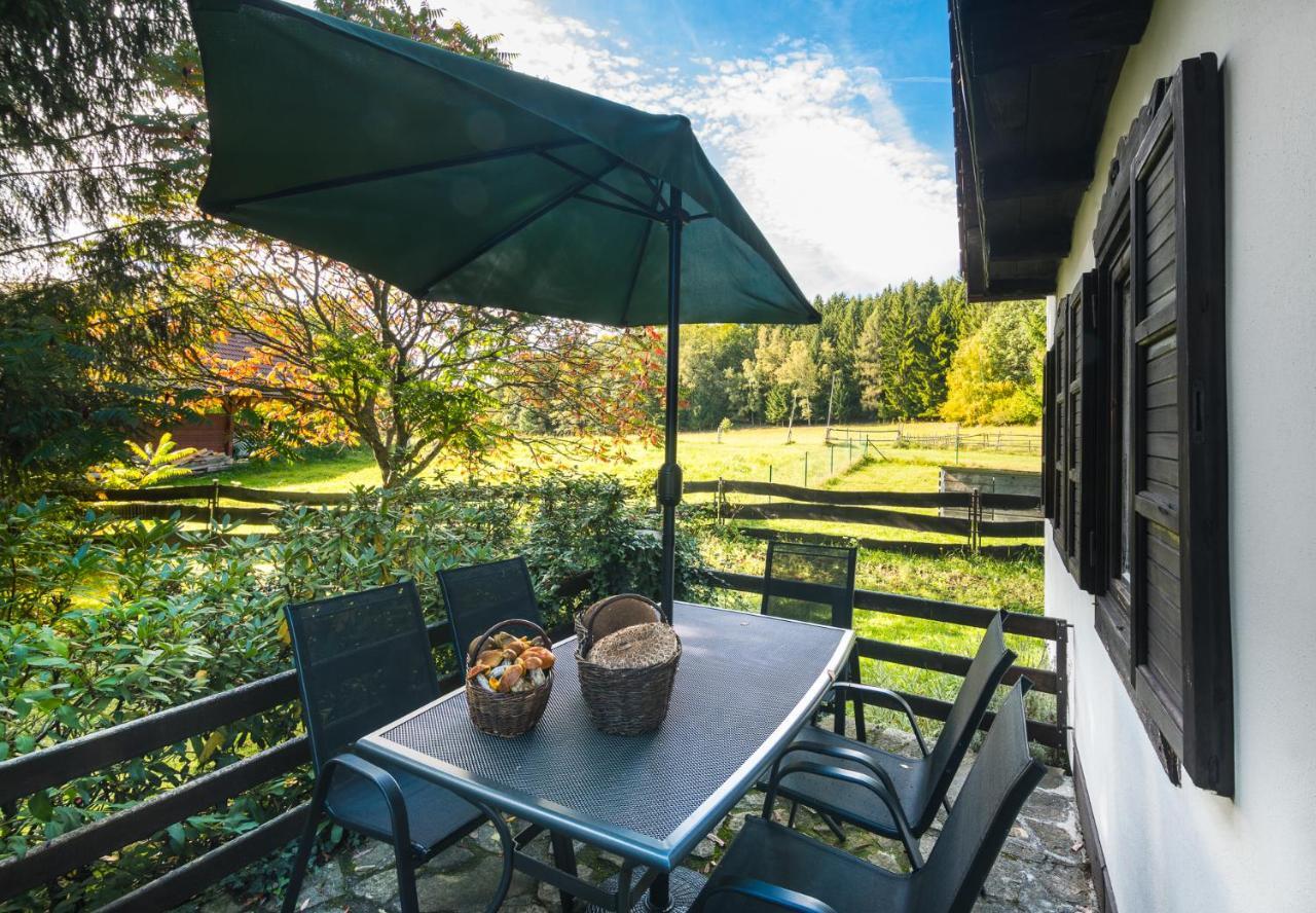 Сasa de vacaciones Kurtovec *